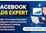 manage and optimize facebook ads campaign for maximum ROI
